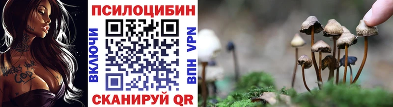Псилоцибиновые грибы GOLDEN TEACHER  наркотики  hydra зеркало  Джанкой 